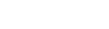 logo van ekeren advies wit